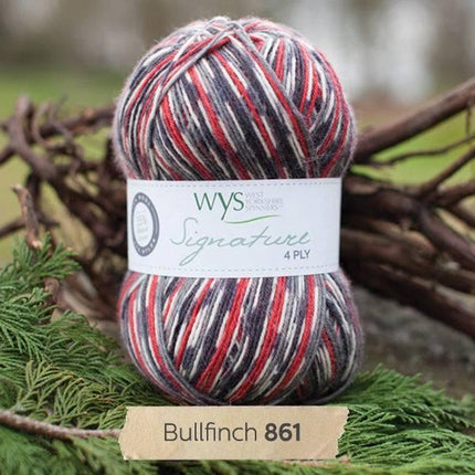 West Yorkshire Spinners | Signature 4ply | Bullfinch -