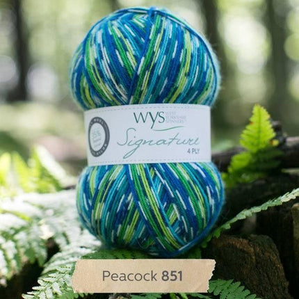 West Yorkshire Spinners | Signature 4ply | Peacock -