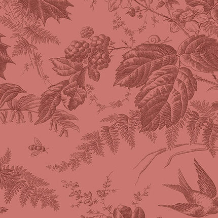 Edyta Sitar | Vermont | Sienna