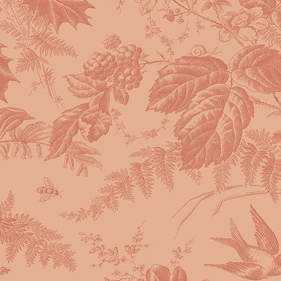 Edyta Sitar | Vermont | Peach