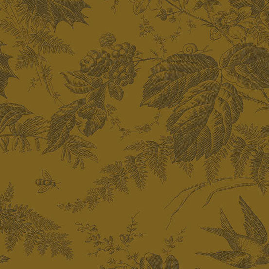 Edyta Sitar | Vermont | Bark