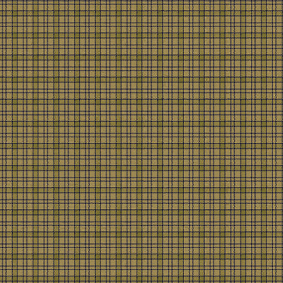 Jo Morton | Jamestown | Check | Fern