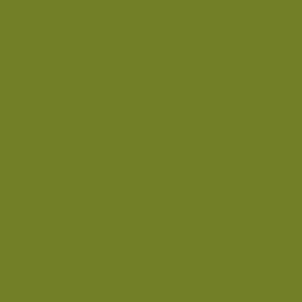 Makower | Spectrum Solid | Avocado G25