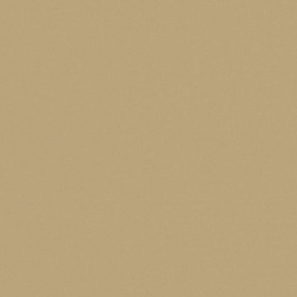Makower | Spectrum Solid | Beige Q03