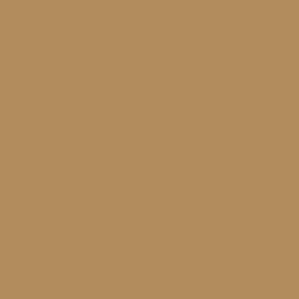 Makower | Spectrum Solid | Fauve V25