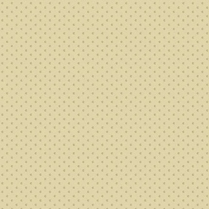 Edyta Sitar | Laundry Line | Seed | Tan