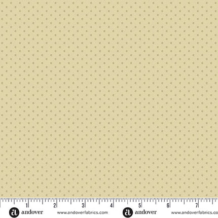 Edyta Sitar | Laundry Line | Seed | Tan