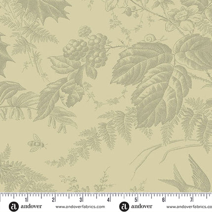 Edyta Sitar | Vermont | Limestone