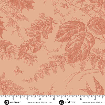 Edyta Sitar | Vermont | Peach