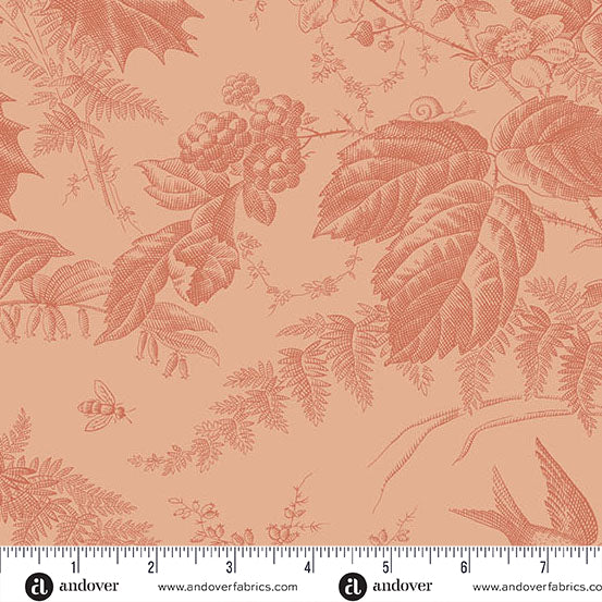 Edyta Sitar | Vermont | Peach
