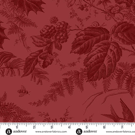 Edyta Sitar | Vermont | Cranberry