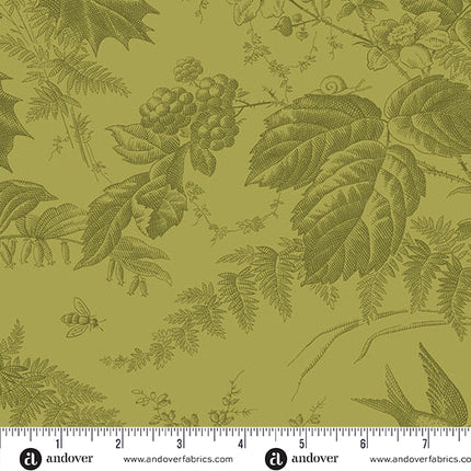 Edyta Sitar | Vermont | Leaf