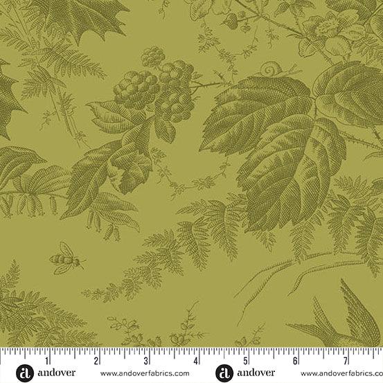 Edyta Sitar | Vermont | Leaf