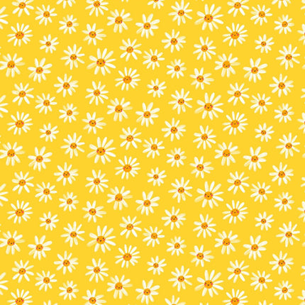 Dashwood Studio - Bee Happy - Fat Quarter Pack (8) -