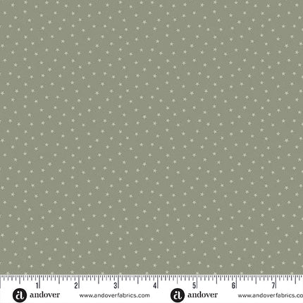 Edyta Sitar | Twinkle | Stone - 1234 - LC