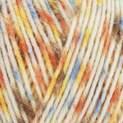 West Yorkshire Spinners | Signature 4ply | Petite Écaille 1243
