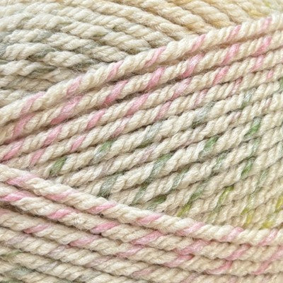 Stylecraft | Moorland | Chunky | Lichen 6209