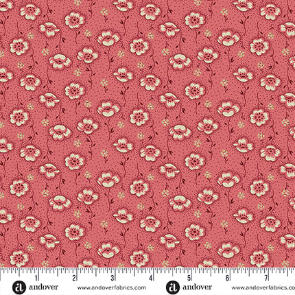Renee Nanneman | Maison de campagne | Tiges de pavot | Corail