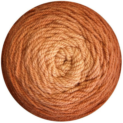 Stylecraft | Horizon | Chunky | Russets 5558