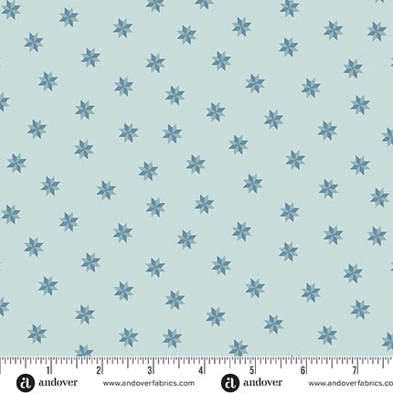 Edyta Sitar | Sewing Bird | Le Moyne Star | Bluebonnets