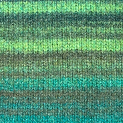 Stylecraft | Dream Cloud | Chunky | Anthia 5534