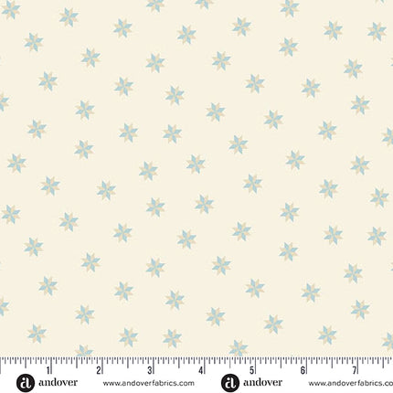 Edyta Sitar | Sewing Bird | Étoile Le Moyne | Coquille