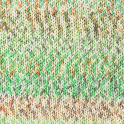 West Yorkshire Spinners | Signature 4ply | Green Hairstreak 1246