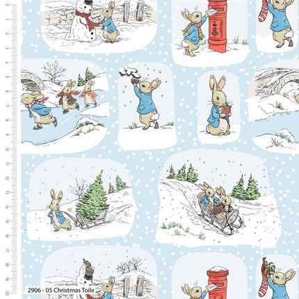Peter Rabbit - Christmas - Toile -