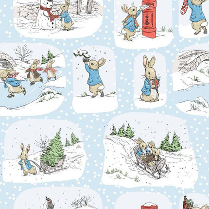 Peter Rabbit - Christmas - Toile -