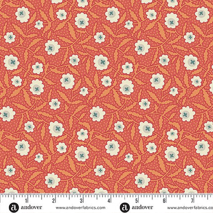 Renee Nanneman | Flower Box | Bachelor Button | Orange - 1016-O
