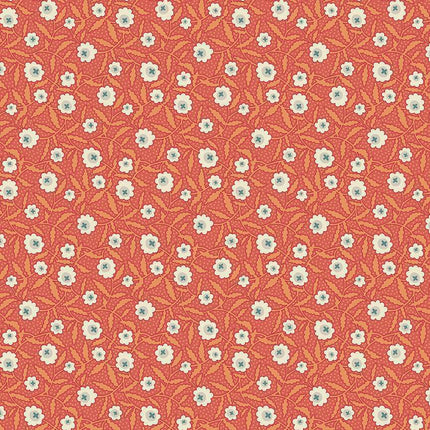 Renee Nanneman | Flower Box | Bachelor Button | Orange - 1016-O