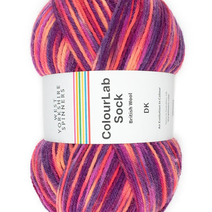 West Yorkshire Spinners | ColourLab Sock DK | Jazz 1198 - 