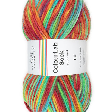 West Yorkshire Spinners | ColourLab Sock DK | Pop 1202 - 