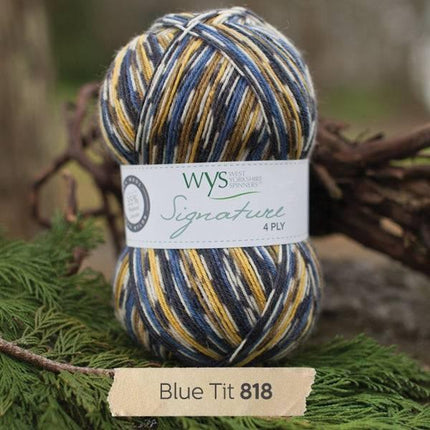 West Yorkshire Spinners | Signature 4ply | Blue Tit -
