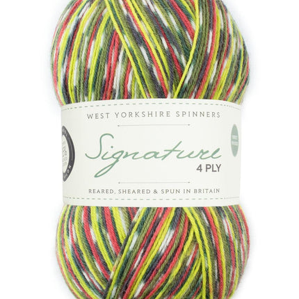 West Yorkshire Spinners | Signature 4ply | Green Woodpecker 1170 -