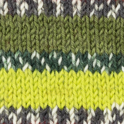 West Yorkshire Spinners | Signature 4ply | Green Woodpecker 1170 -