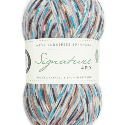 West Yorkshire Spinners | Signature 4ply | Jay 1167 -