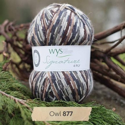 West Yorkshire Spinners | Signature 4ply | Owl -