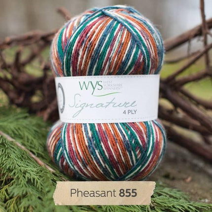West Yorkshire Spinners | Signature 4ply | Pheasant -