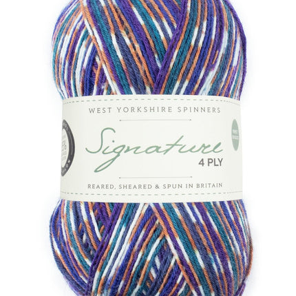 West Yorkshire Spinners | Signature 4ply | Starling 1169 -