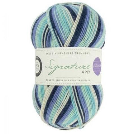 West Yorkshire Spinners | Signature 4ply | Winwick Mum | Winter Icicle -